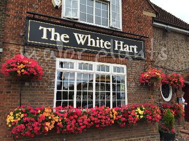 Major Plants Ltd - Window Boxes - London - UK - Image 27