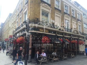 Major Plants Ltd - Window Boxes - London - UK - Image 33