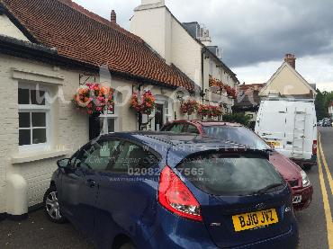 Major Plants Ltd - Window Boxes - London - UK - Image 34