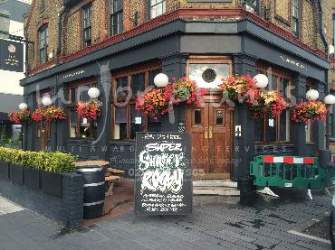 Major Plants Ltd - Window Boxes - London - UK - Image 47