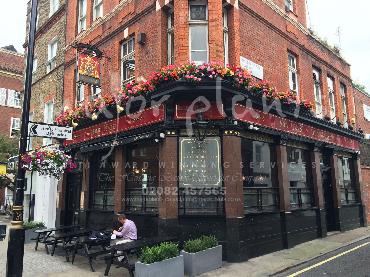 Major Plants Ltd - Window Boxes - London - UK - Image 49