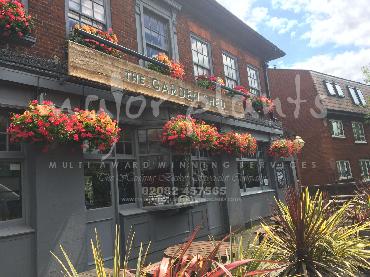 Major Plants Ltd - Window Boxes - London - UK - Image 58