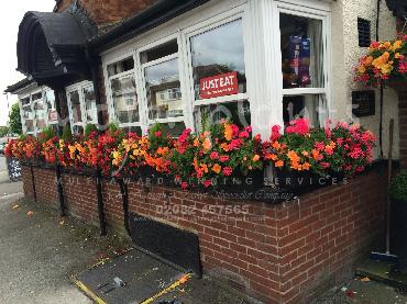 Major Plants Ltd - Window Boxes - London - UK - Image 73