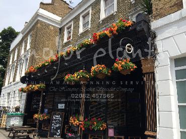 Major Plants Ltd - Window Boxes - London - UK - Image 75