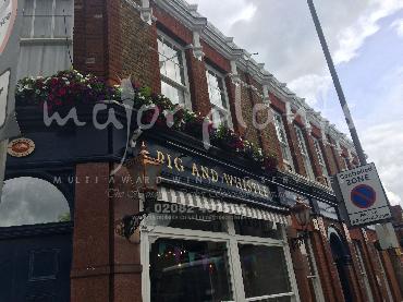 Major Plants Ltd - Window Boxes - London - UK - Image 76