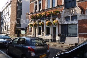 Major Plants Ltd - Window Boxes - London - UK - Image 92
