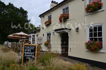 Major Plants Ltd - Window Boxes - London - UK - Image 99