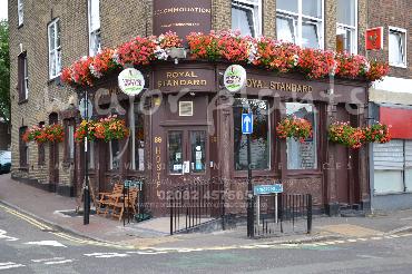 Major Plants Ltd - Window Boxes - London - UK - Image 101