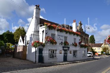 Major Plants Ltd - Window Boxes - London - UK - Image 103