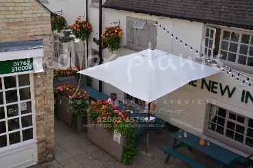 Major Plants Ltd - Window Boxes - London - UK - Image 106