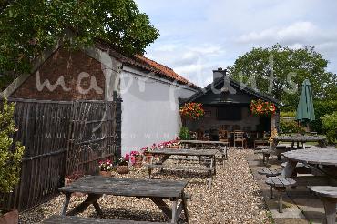 Major Plants Ltd - Window Boxes - London - UK - Image 108