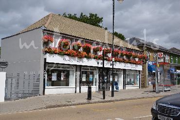 Major Plants Ltd - Window Boxes - London - UK - Image 110