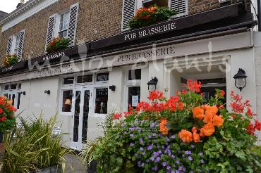 Major Plants Ltd - Window Boxes - London - UK - Image 112