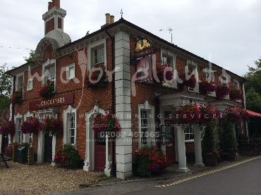 Major Plants Ltd - Window Boxes - London - UK - Image 118