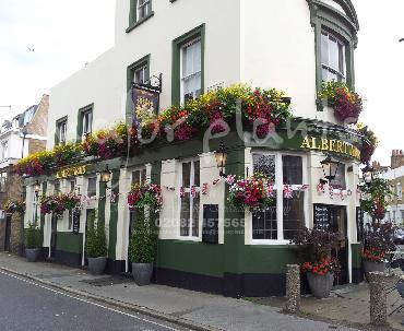 Major Plants Ltd - Window Boxes - London - UK - Image 122