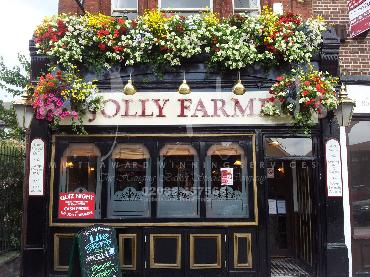 Major Plants Ltd - Window Boxes - London - UK - Image 125