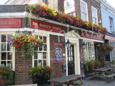 Major Plants Ltd - Window Boxes - London - UK - Image 130
