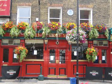 Major Plants Ltd - Window Boxes - London - UK - Image 131