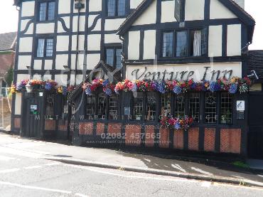 Major Plants Ltd - Window Boxes - London - UK - Image 134