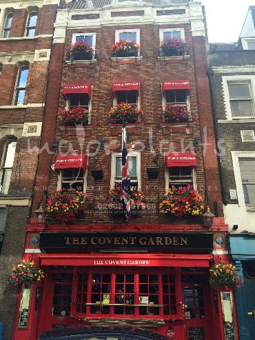 Major Plants Ltd - Window Boxes - London - UK - Image 136