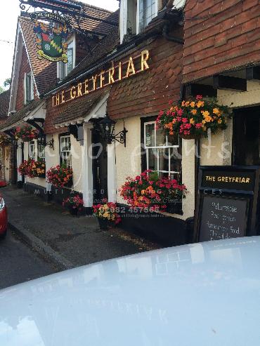 Major Plants Ltd - Window Boxes - London - UK - Image 140
