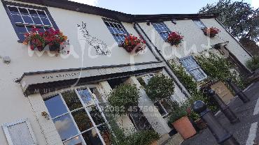 Major Plants Ltd - Window Boxes - London - UK - Image 143