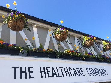 Major Plants Ltd - Winter Displays - London - UK - Image 1