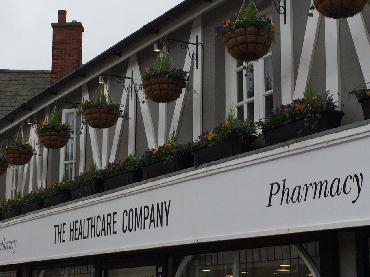 Major Plants Ltd - Winter Displays - London - UK - Image 6