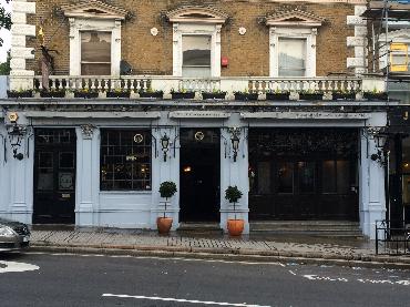 Major Plants Ltd - Winter Displays - London - UK - Image 22