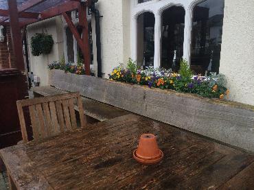 Major Plants Ltd - Winter Displays - London - UK - Image 24