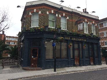 Major Plants Ltd - Winter Displays - London - UK - Image 27