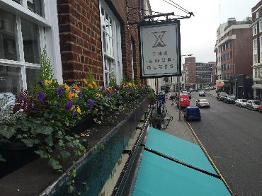 Major Plants Ltd - Winter Displays - London - UK - Image 33