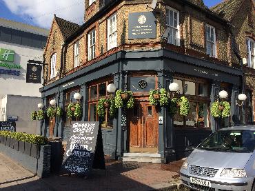 Major Plants Ltd - Winter Displays - London - UK - Image 46