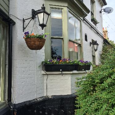 Major Plants Ltd - Winter Displays - London - UK - Image 52