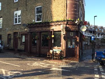 Major Plants Ltd - Winter Displays - London - UK - Image 55